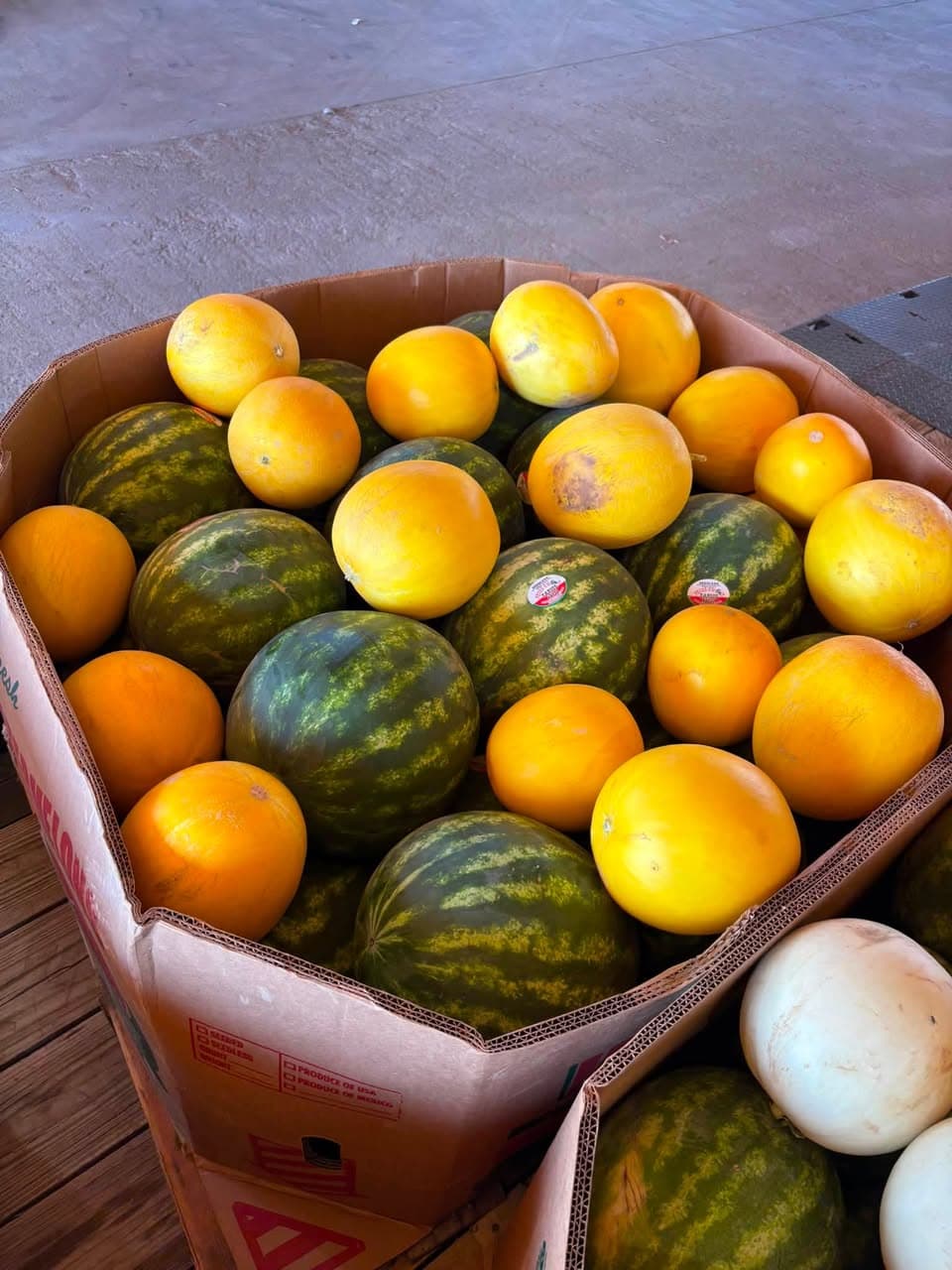 Yellow and striped watermelons packed for a Plowman’s Produce pop-up